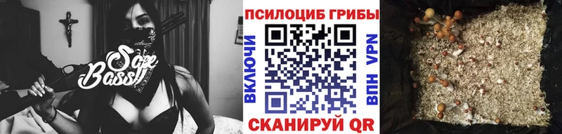 omg как войти  Алзамай  Псилоцибиновые грибы мухоморы 